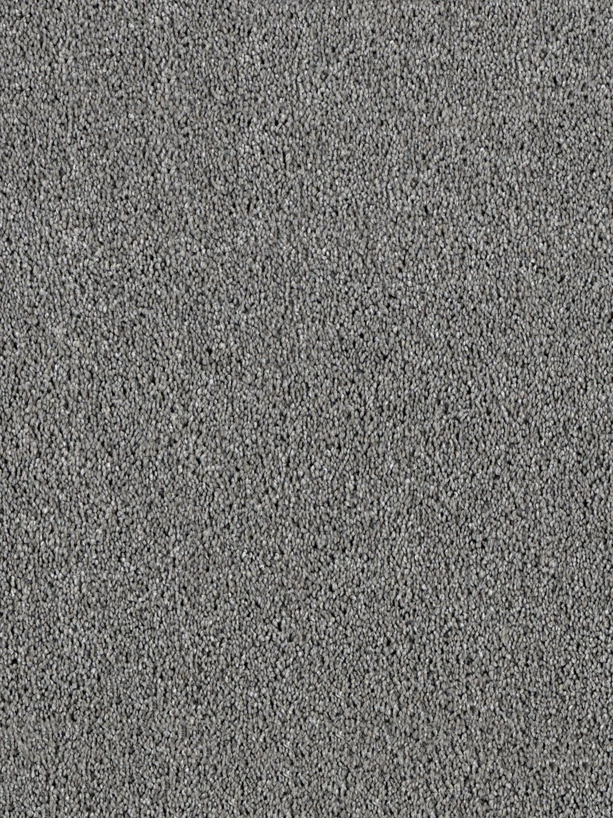 4032_927__71507.1560176082.jpg