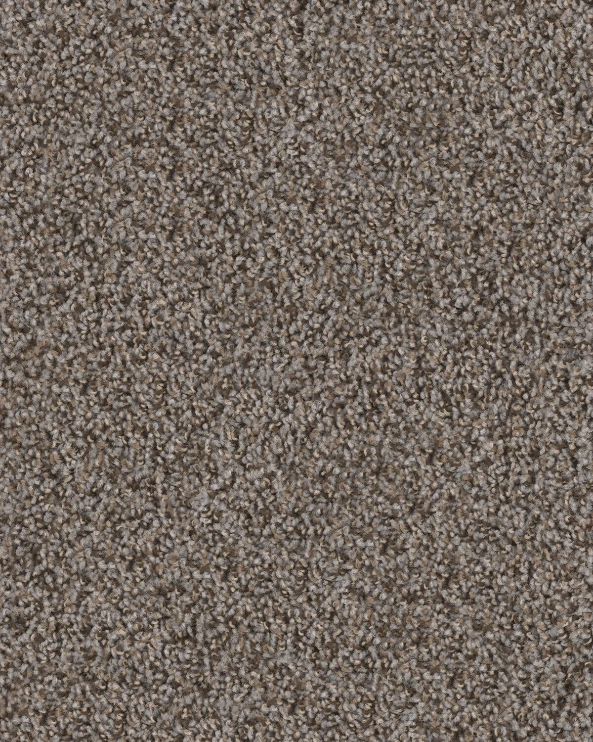 4162_454__15022.1559741759.jpg