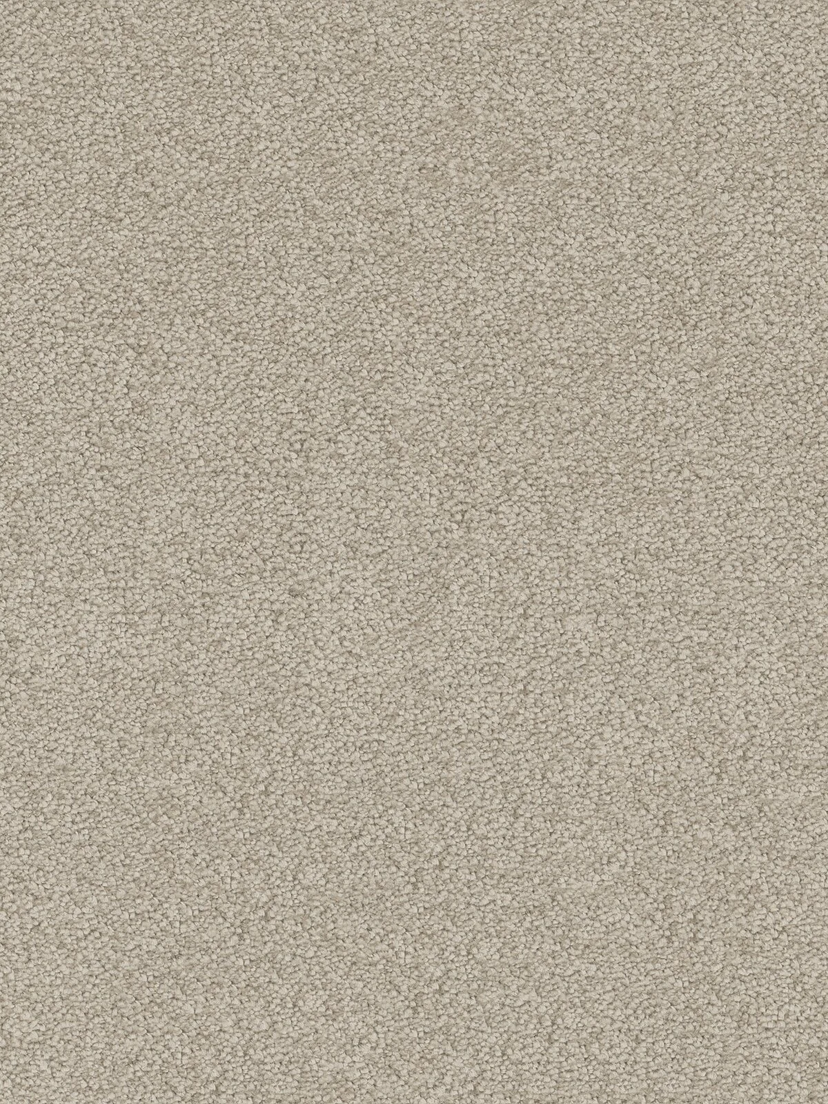 6135_784__22170.1571858141.jpg