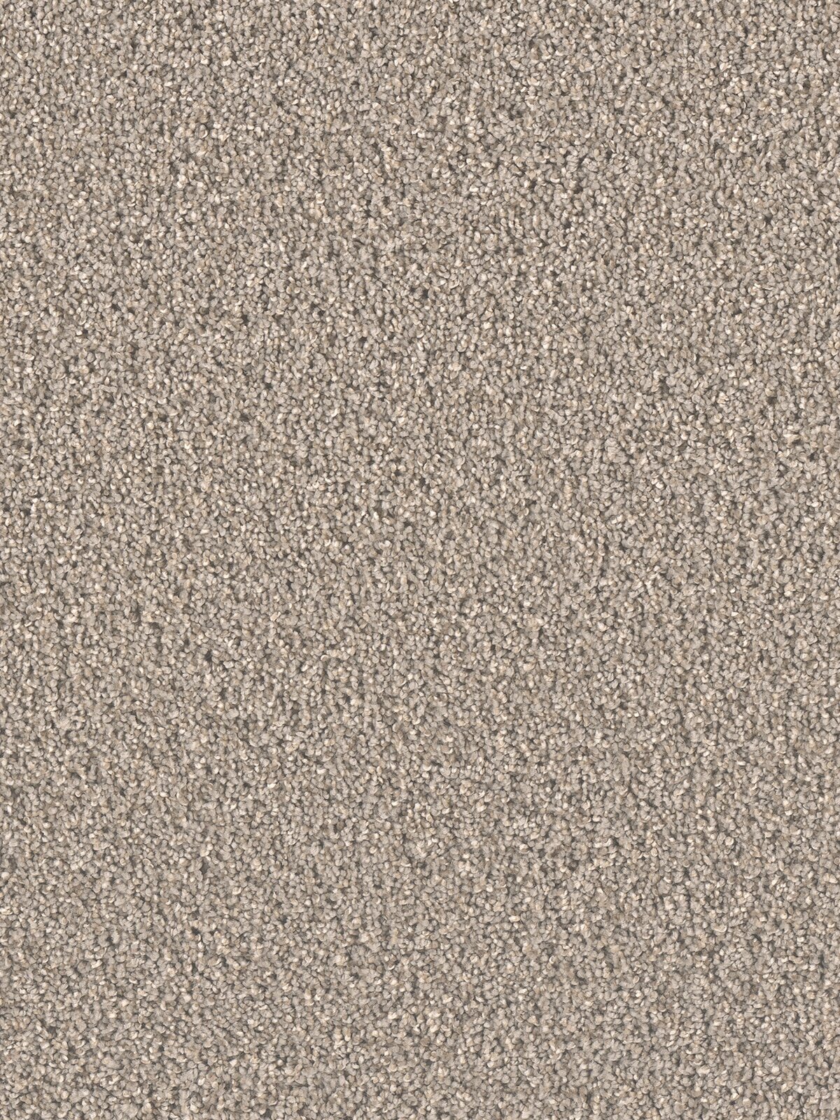 4765_945__33436.1560264730.jpg
