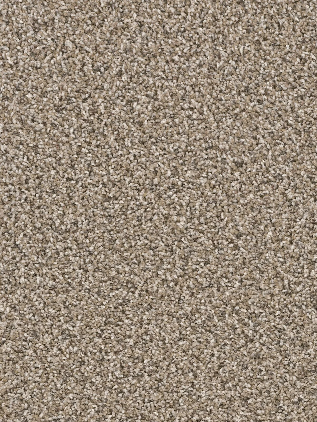5310_503__27753.1559842640.jpg