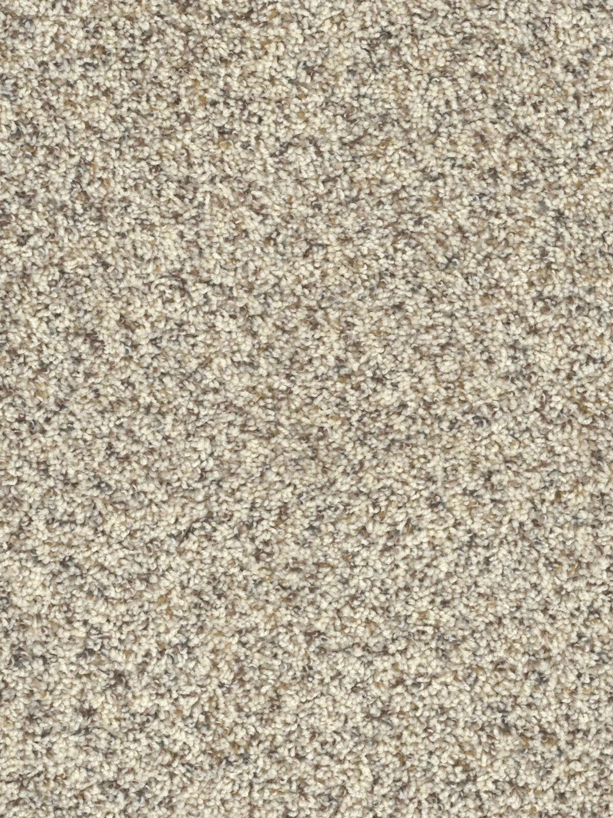 5315_106__34722.1559844326.jpg