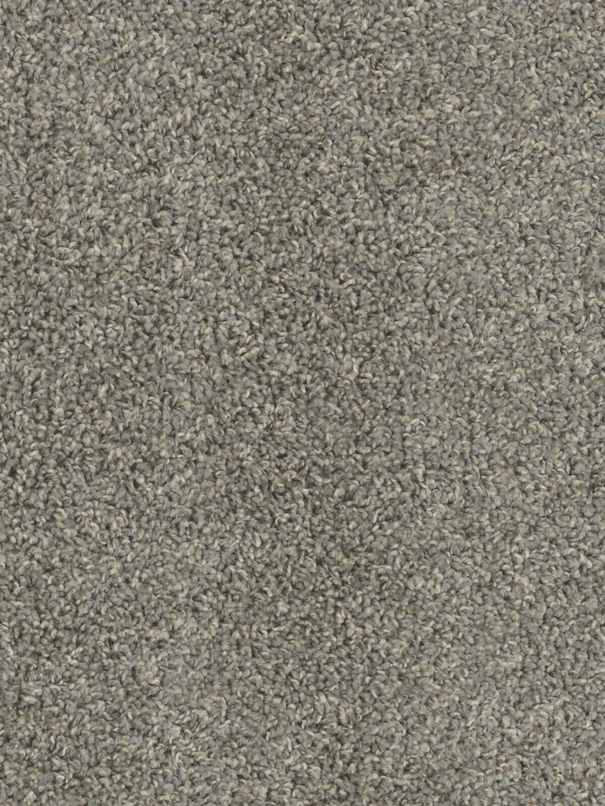 1524_388__61578.1579026171.jpg