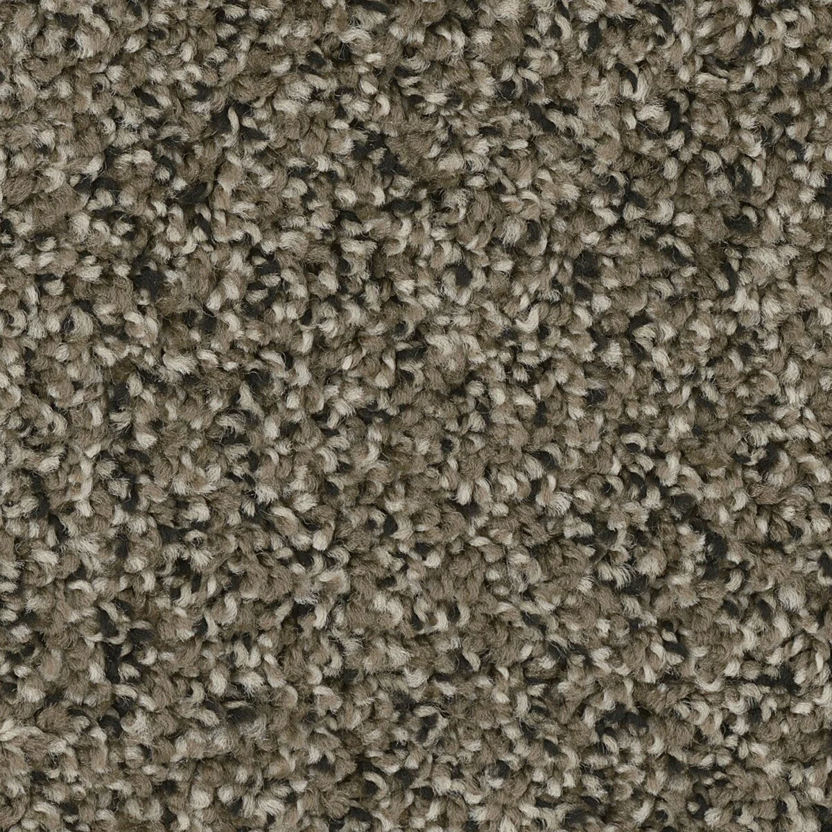 6035_726__77155.1559850020.jpg