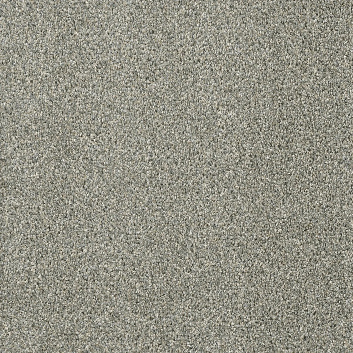 4330_495__40552.1575388862.jpg