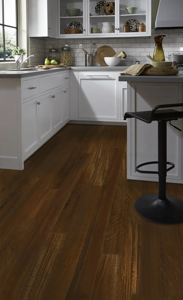 Acacia-African Sunset