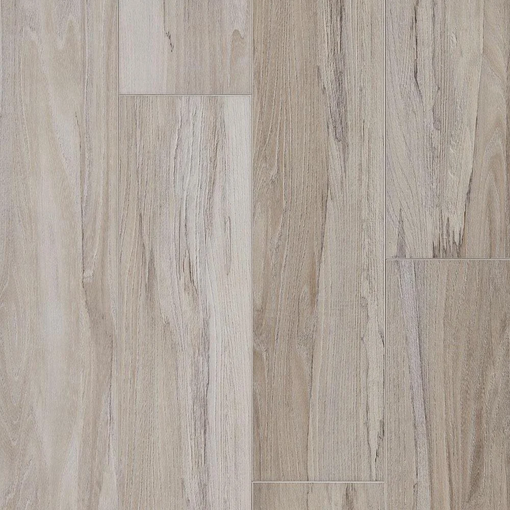 9b SpaltedWychElmDewAPX020.jpg