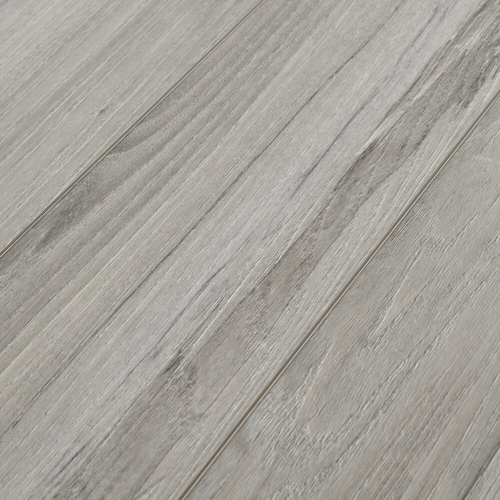 10c SpaltedWychElmMushroomAPX021Angle.jpg