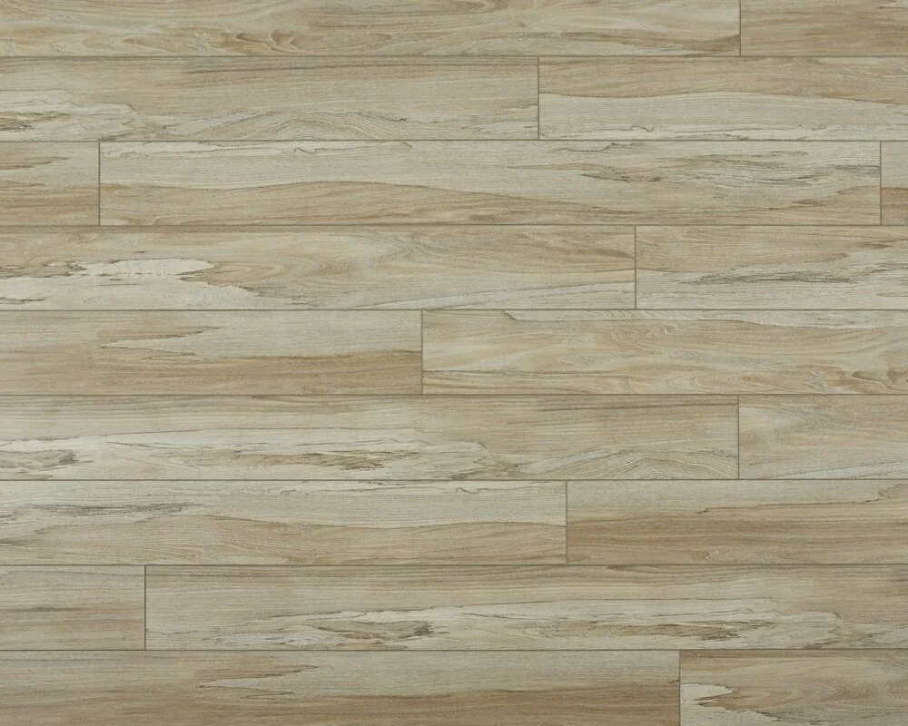 12 SpaltedWychElmFoliageAPX023Full.jpg