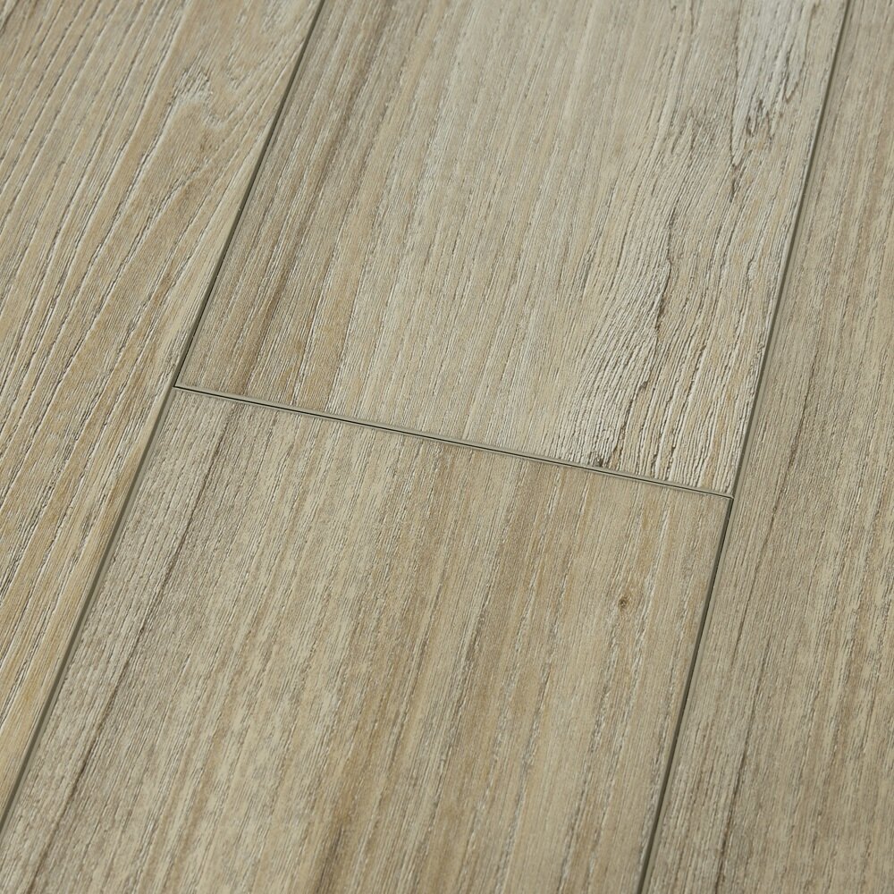 12C SpaltedWychElmFoliageAPX023Angle.jpg
