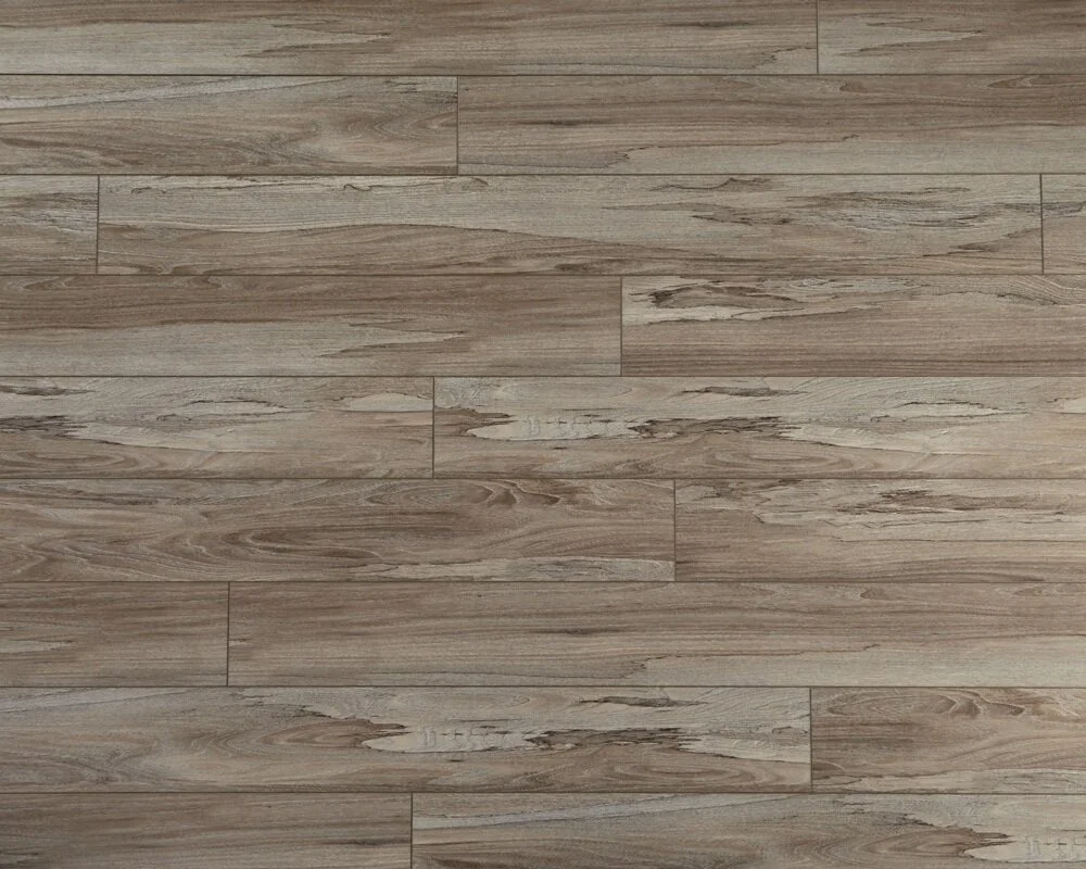 13 SpaltedWychElmSoilAPX024Full.jpg