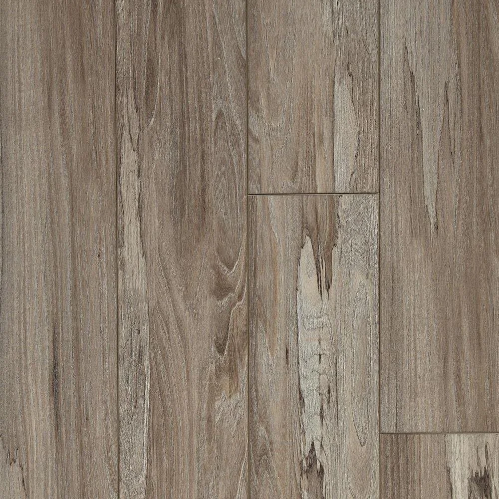 13b SpaltedWychElmSoilAPX024 1.jpg