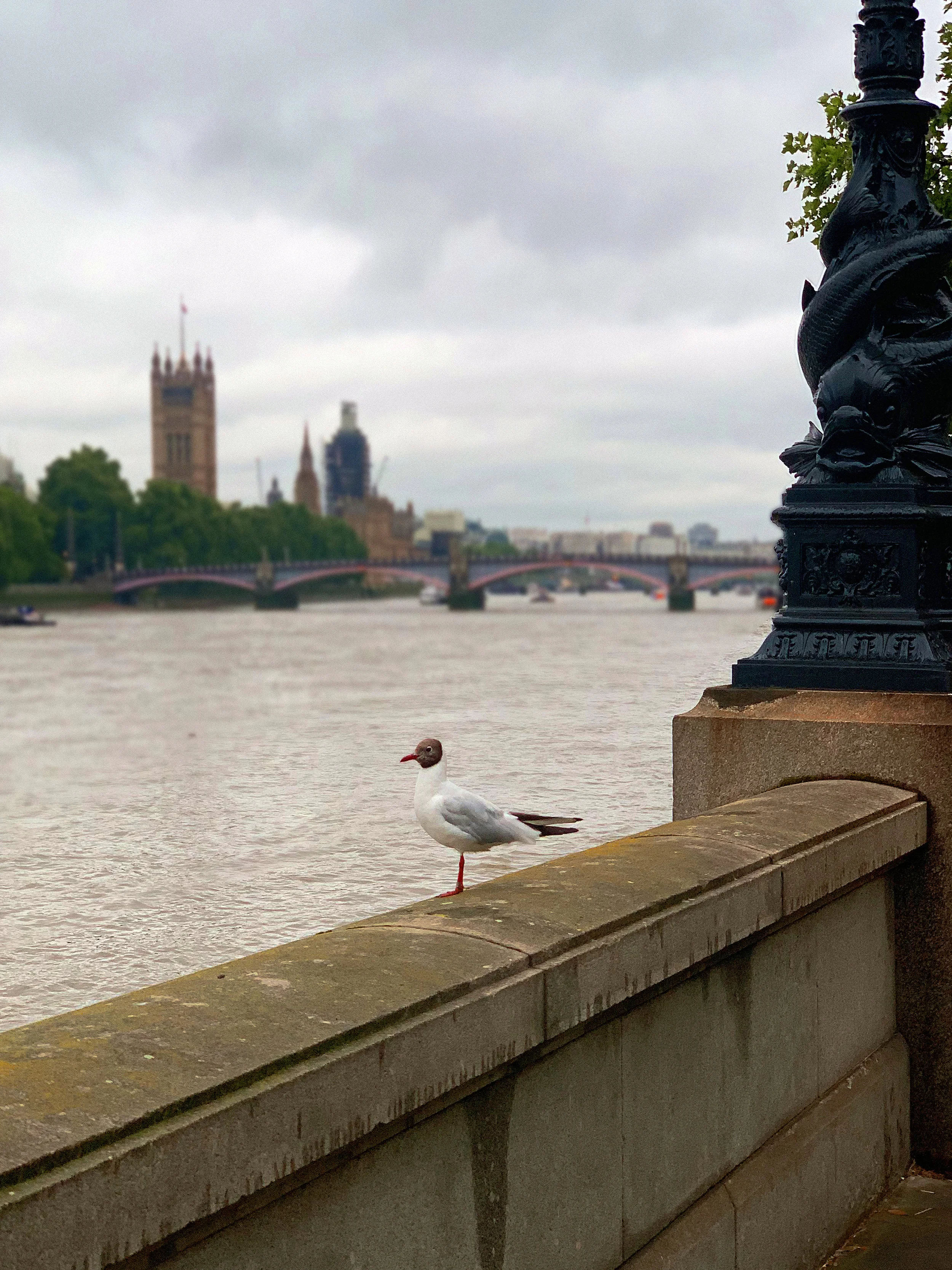 London Rainy Walks and Self Esteem