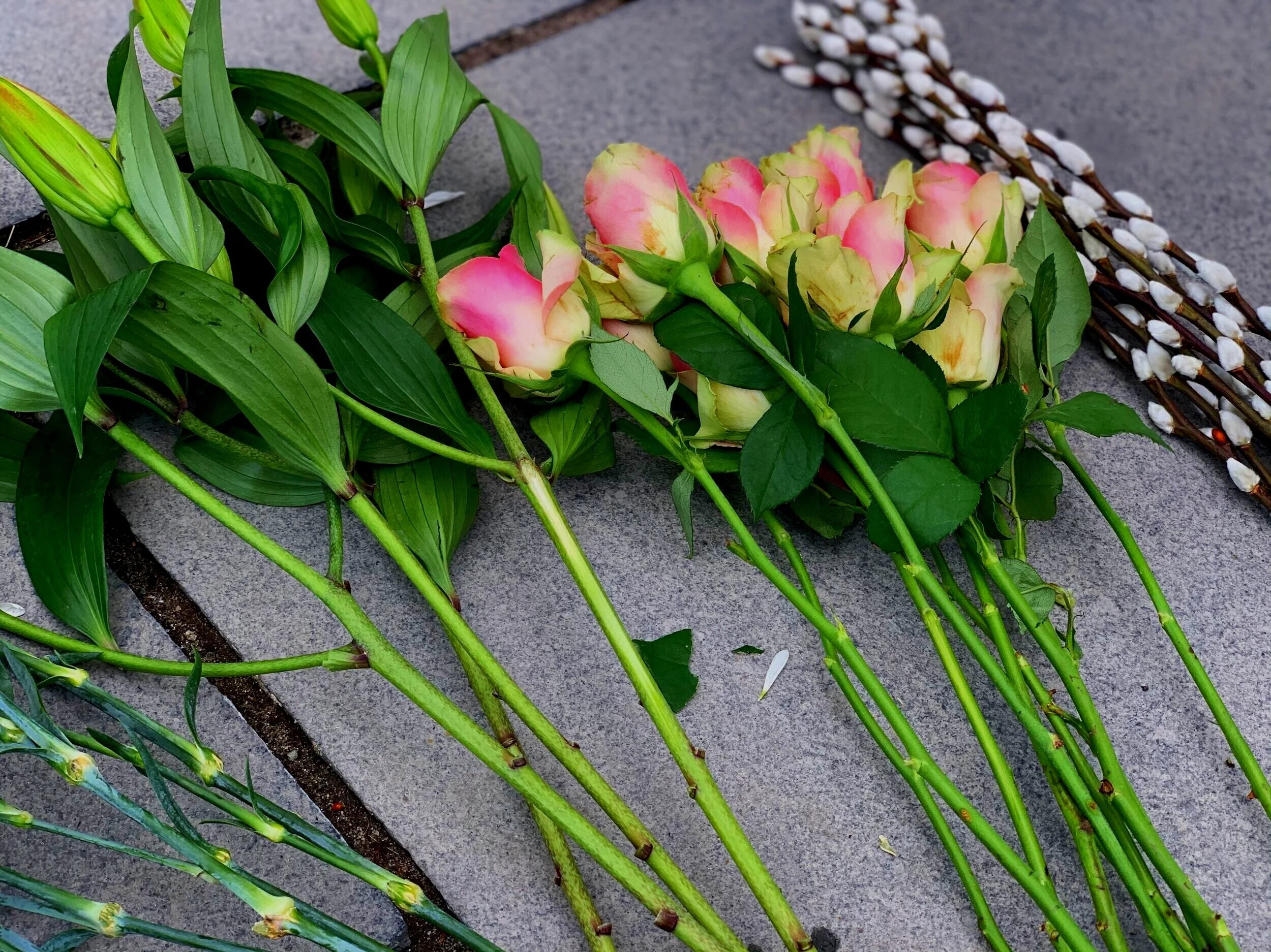 Learning Flower Arranging