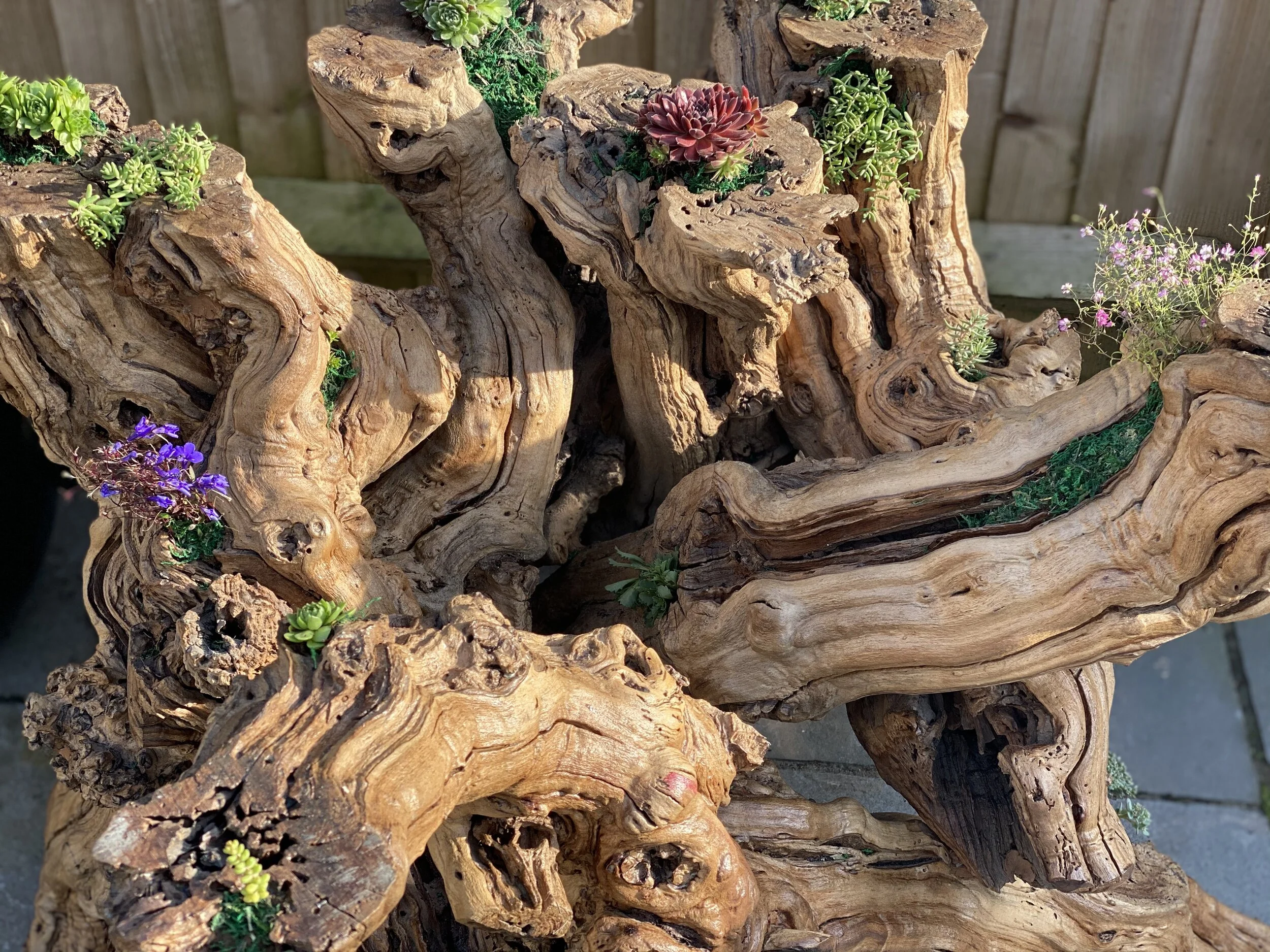 Clearing Out Old Memories Part II