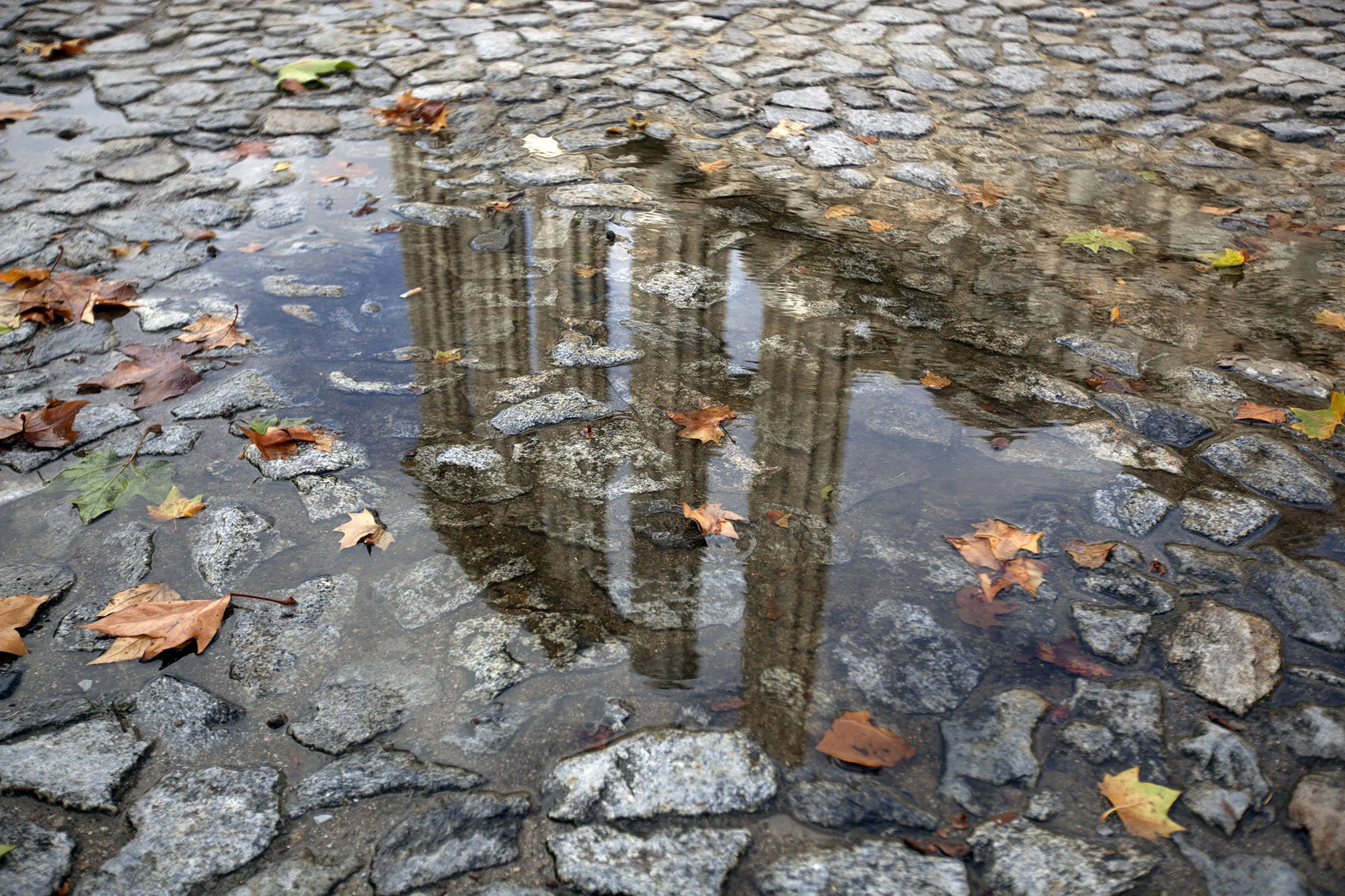 Reflection of the Roman Temple