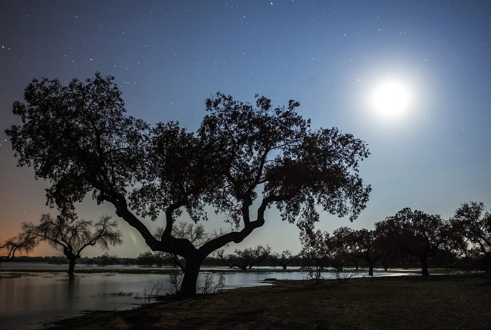 Dark Sky Alqueva Reserve