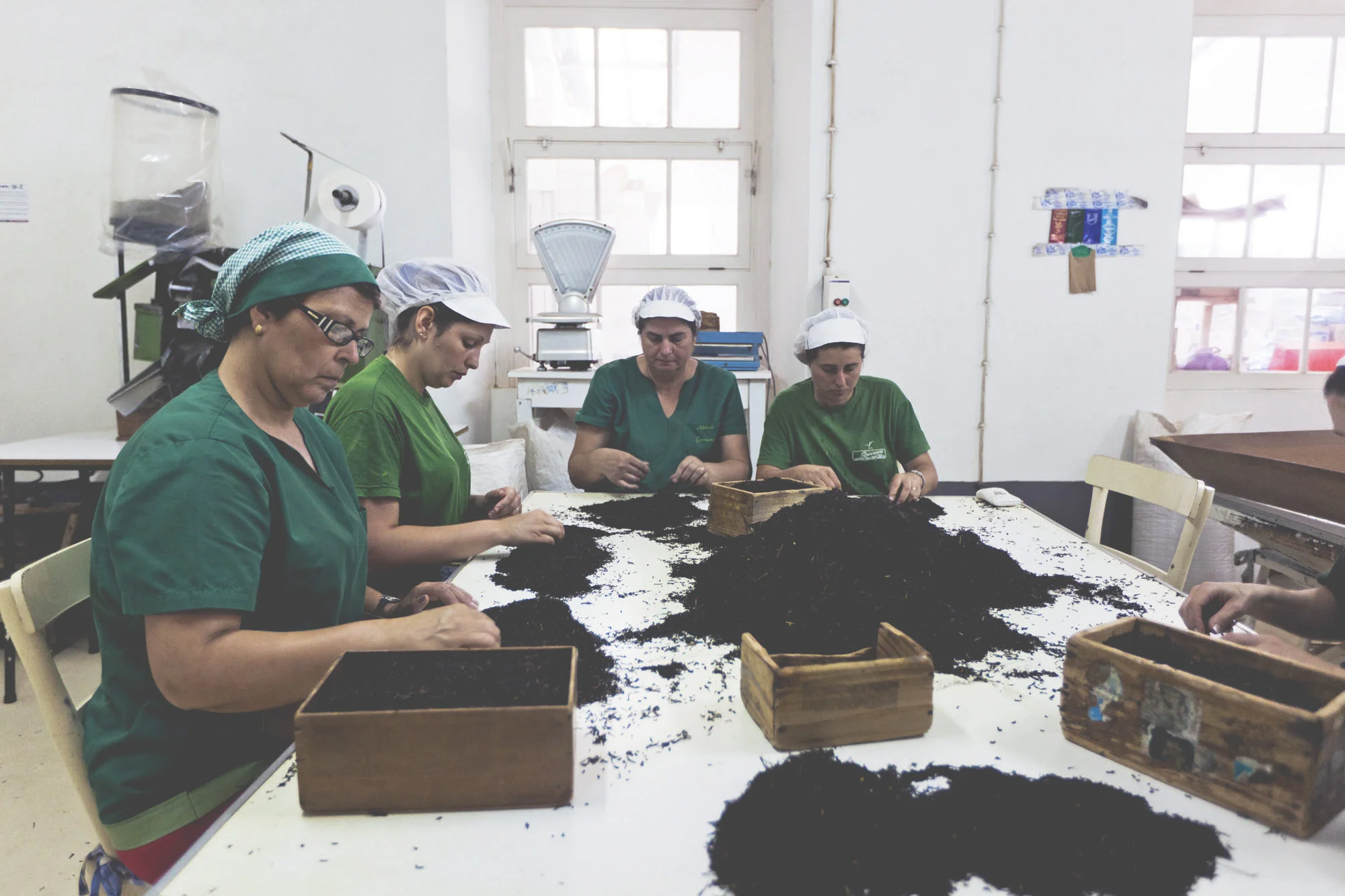Gorreana Tea Factory