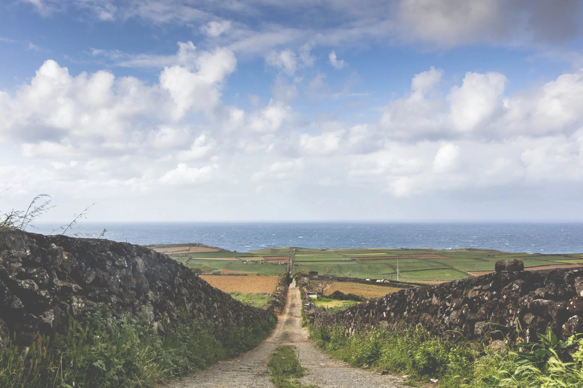 Terceira Island