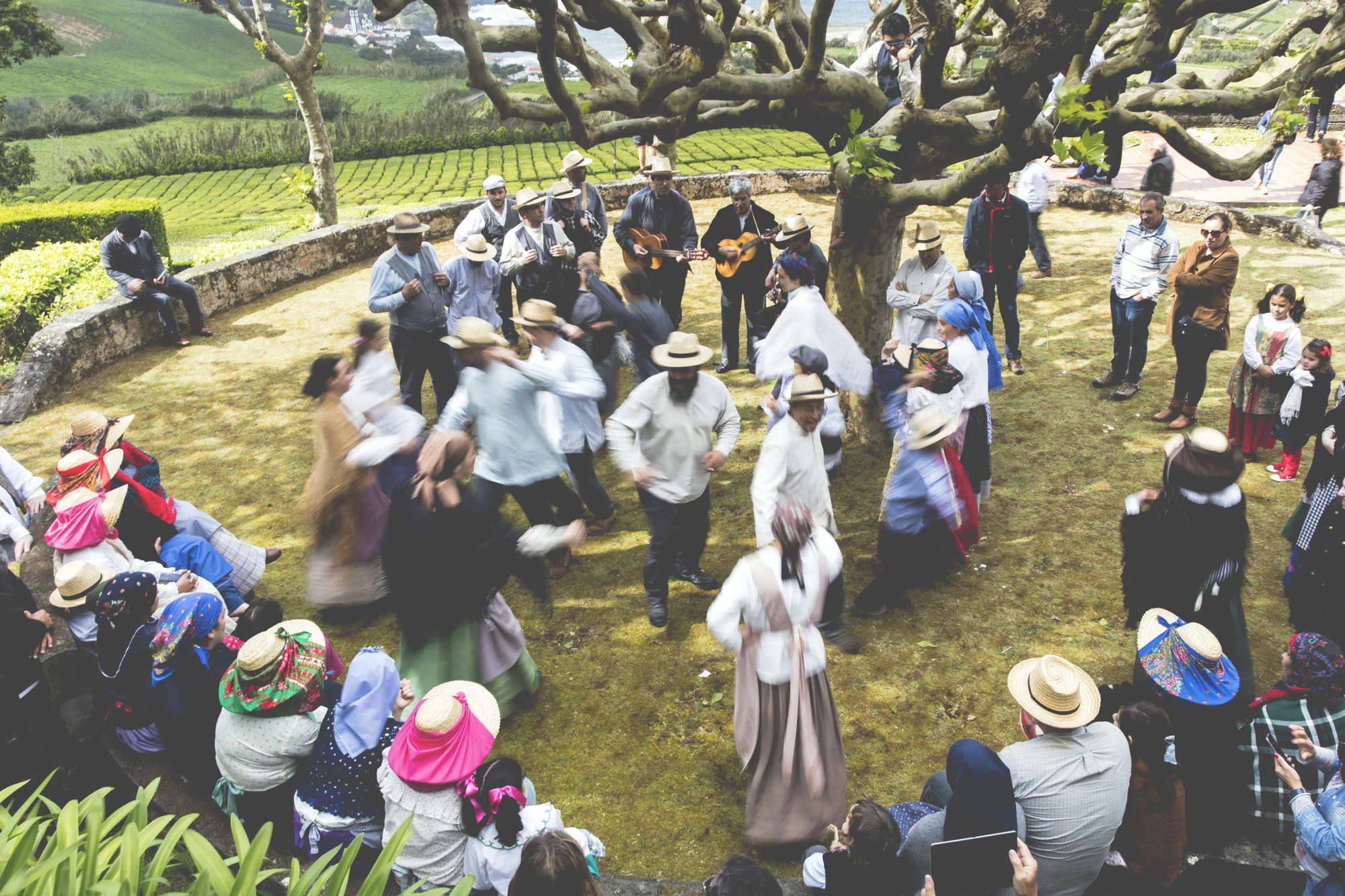 Workers in Porto Formoso Tea Plantation
