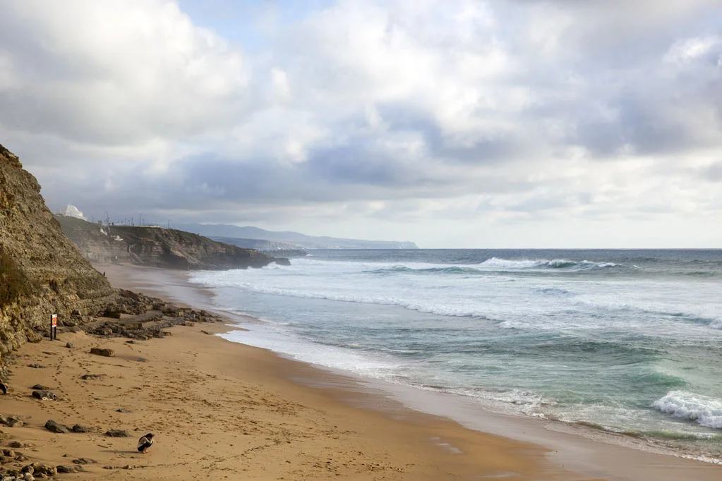 Coastline