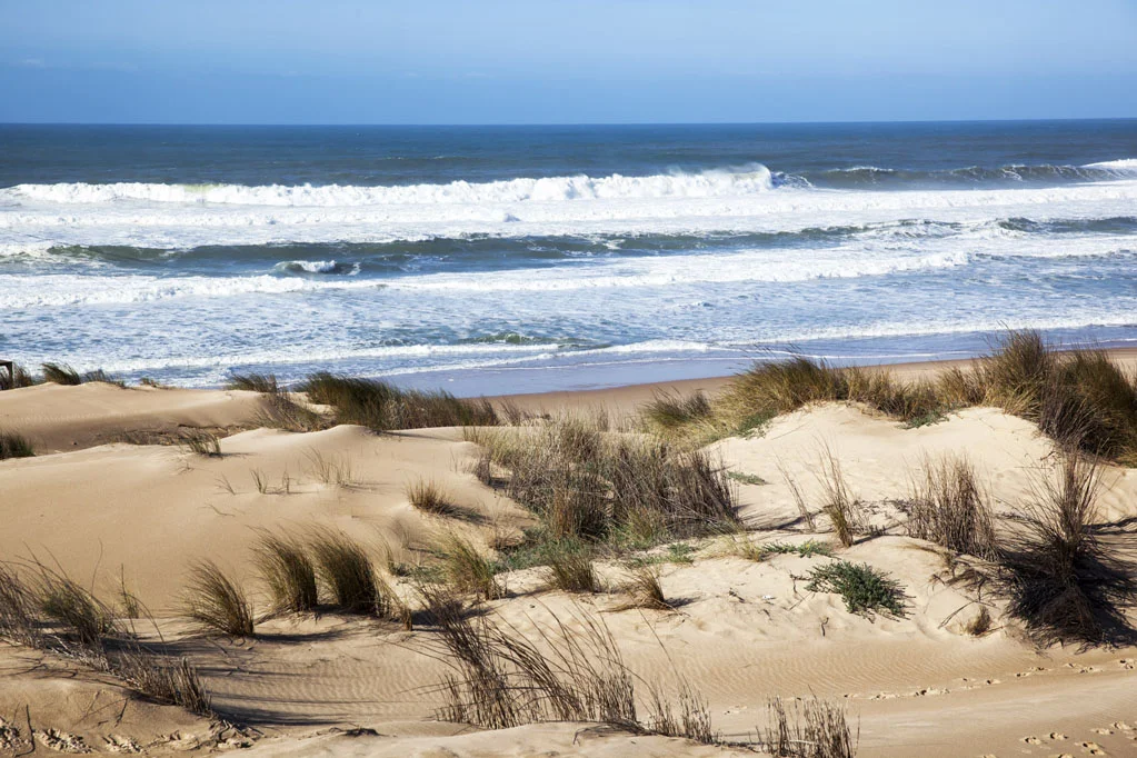 Guincho