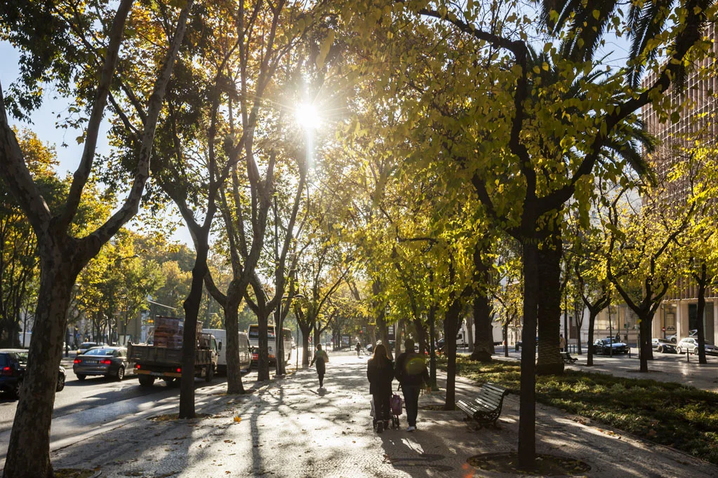 Avenida da Liberdade