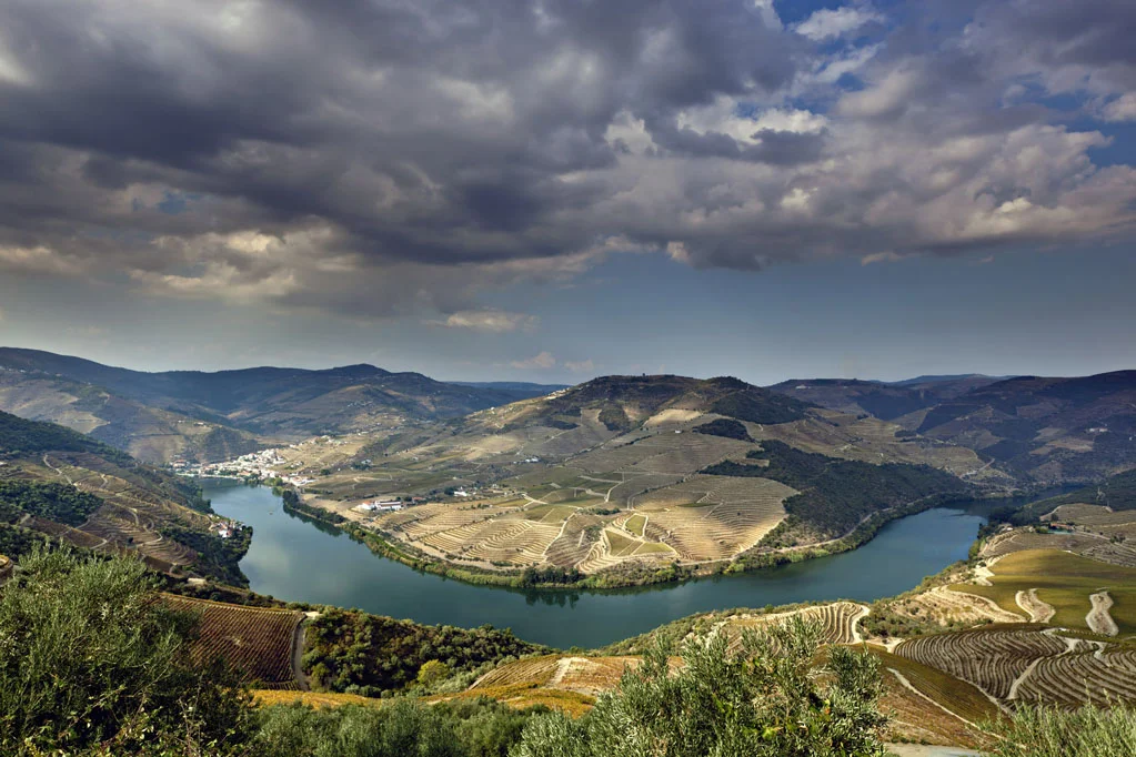 Alto Douro Wine Region