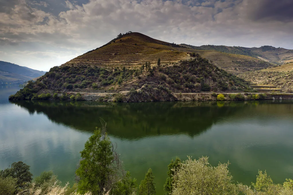 Alto Douro Wine Region
