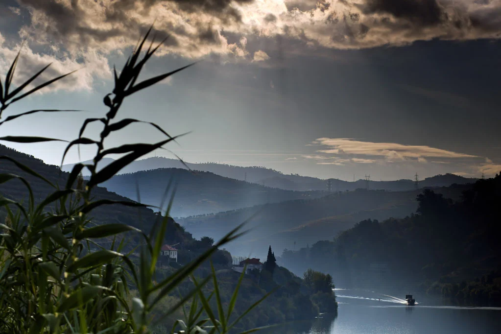 Alto Douro Wine Region