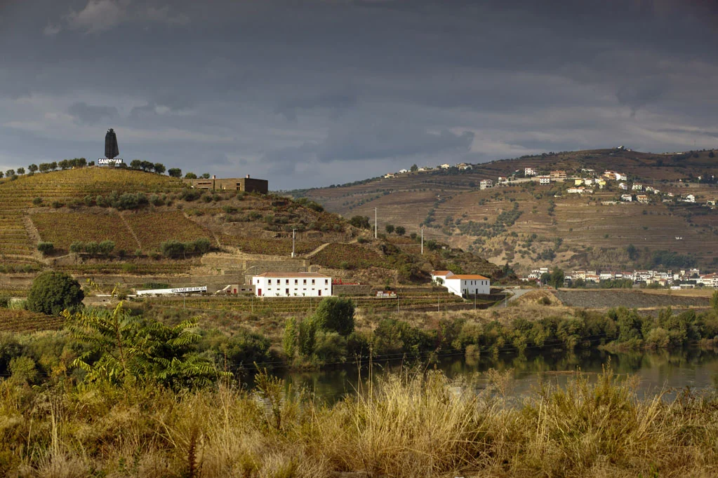 Alto Douro Wine Region