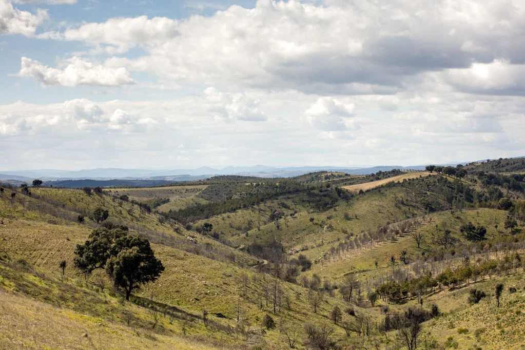 Landscape in Northern Portugal
