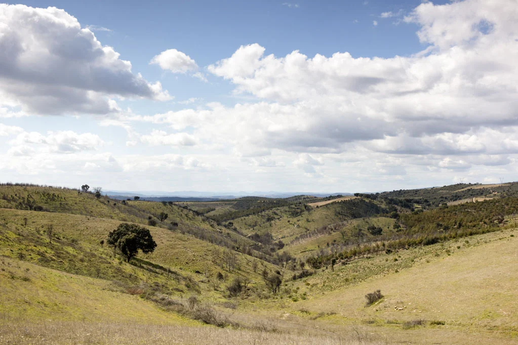 Landscape in Northern Portugal