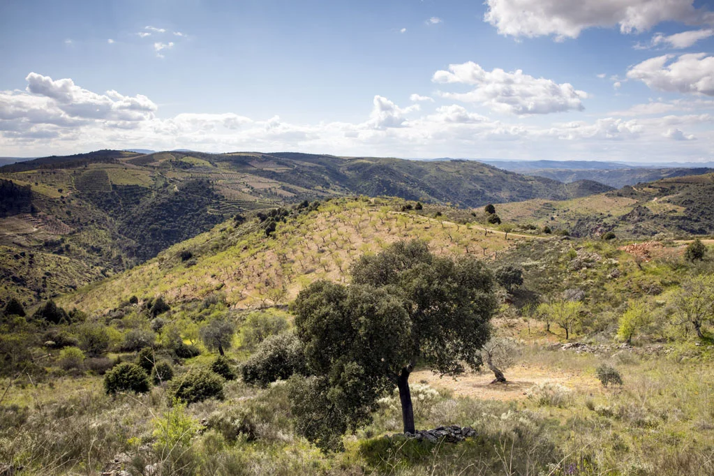 Landscape in Northern Portugal