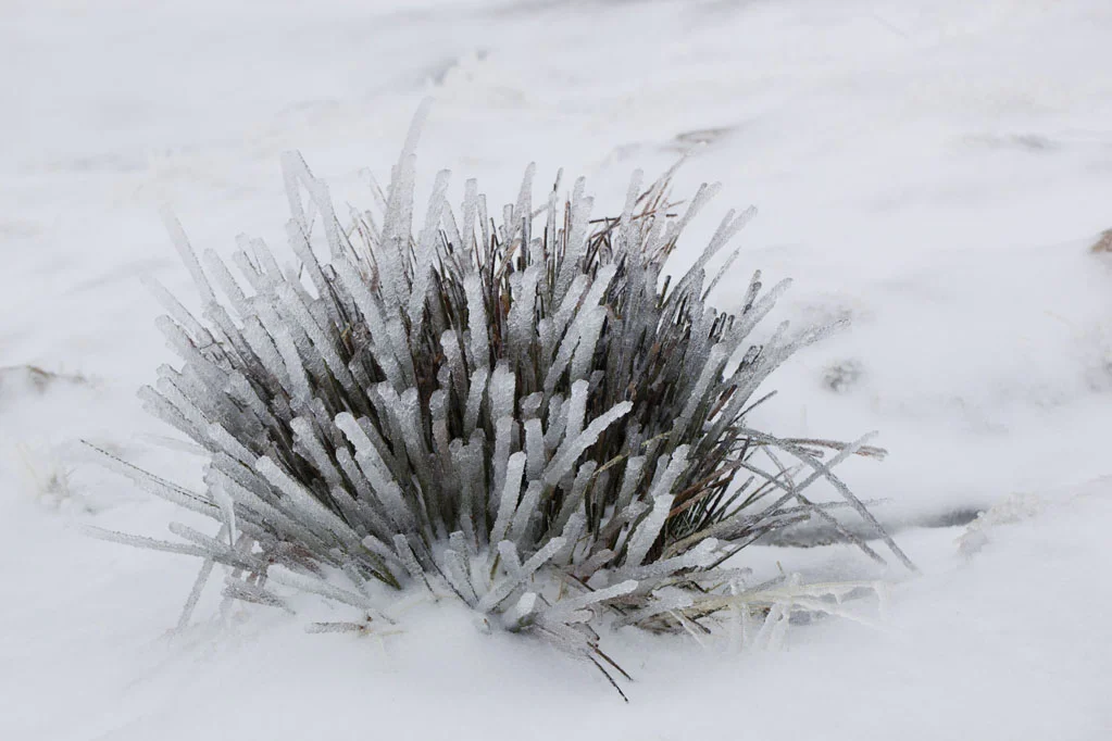 Snow in Serra da Estrela