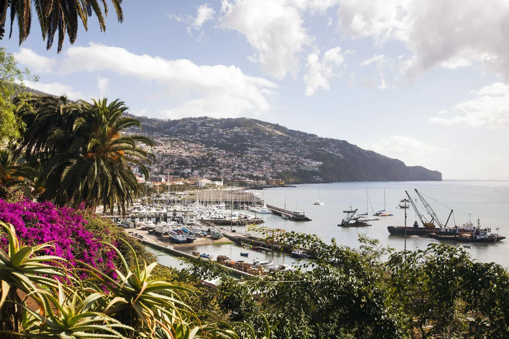 Garden in Funchal