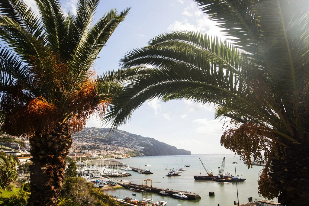 Garden in Funchal