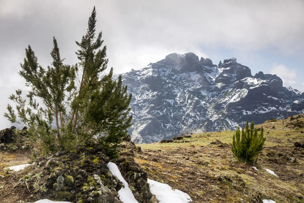 Moutain