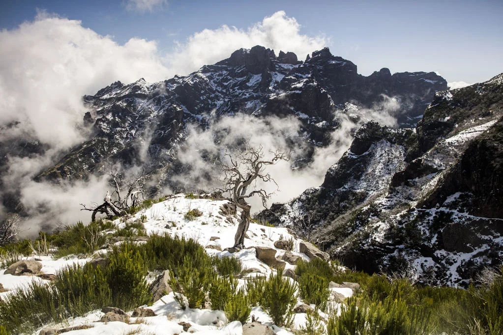 Moutain