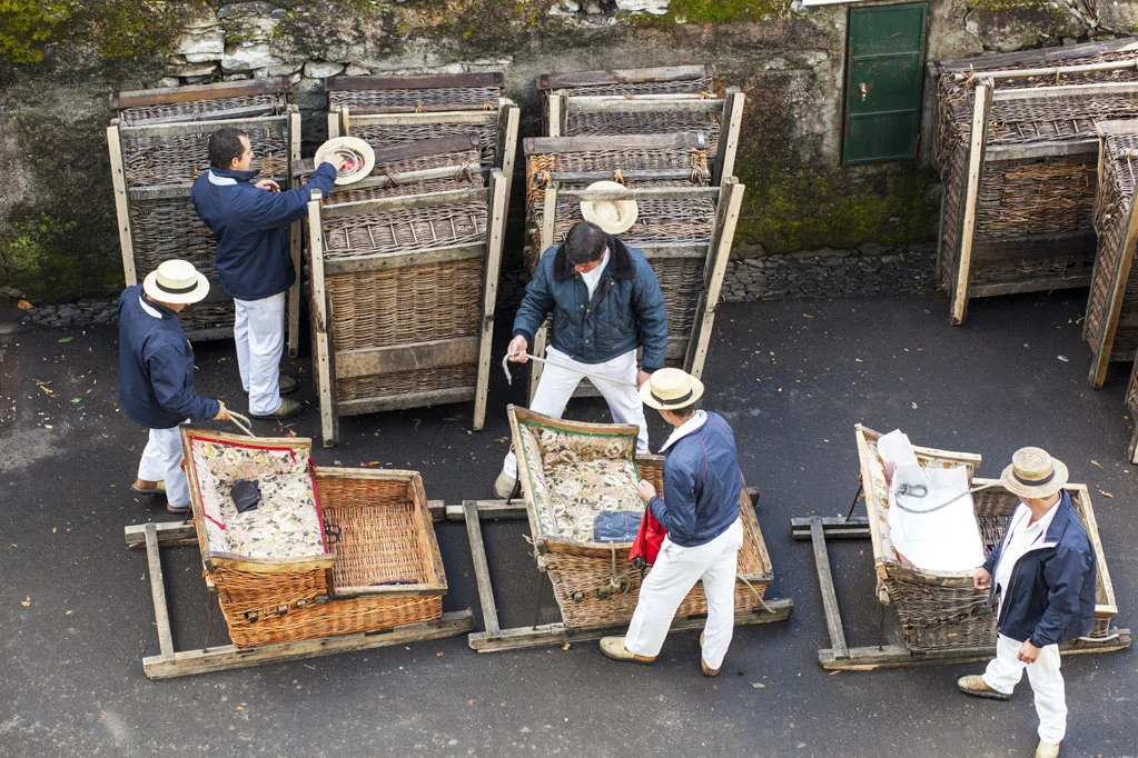 Toboggan ride in Madeira