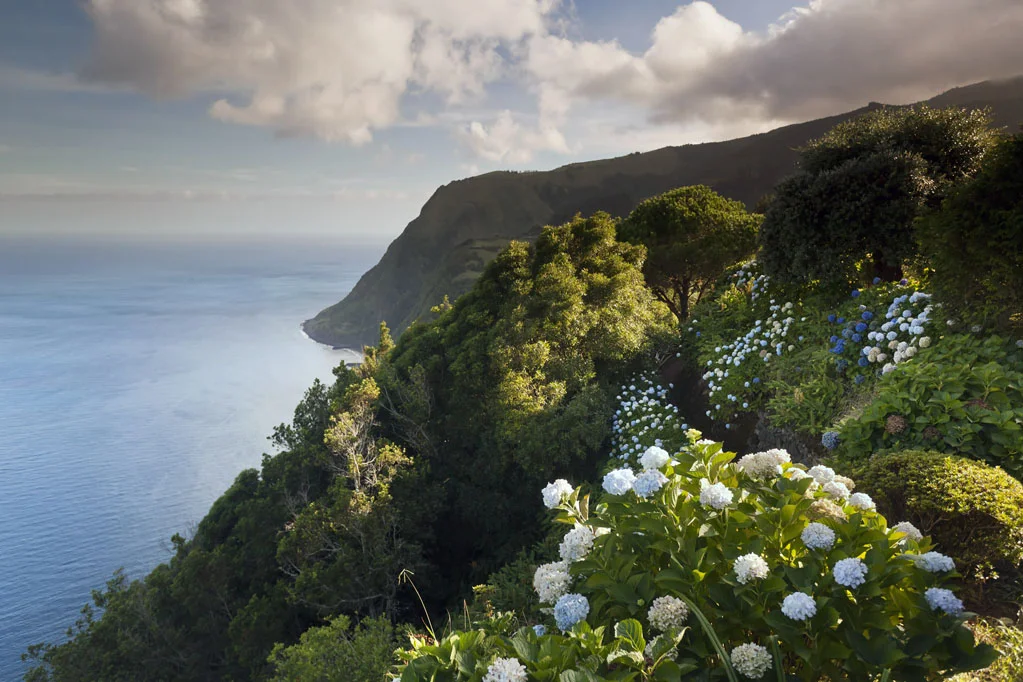 Azores Coastline