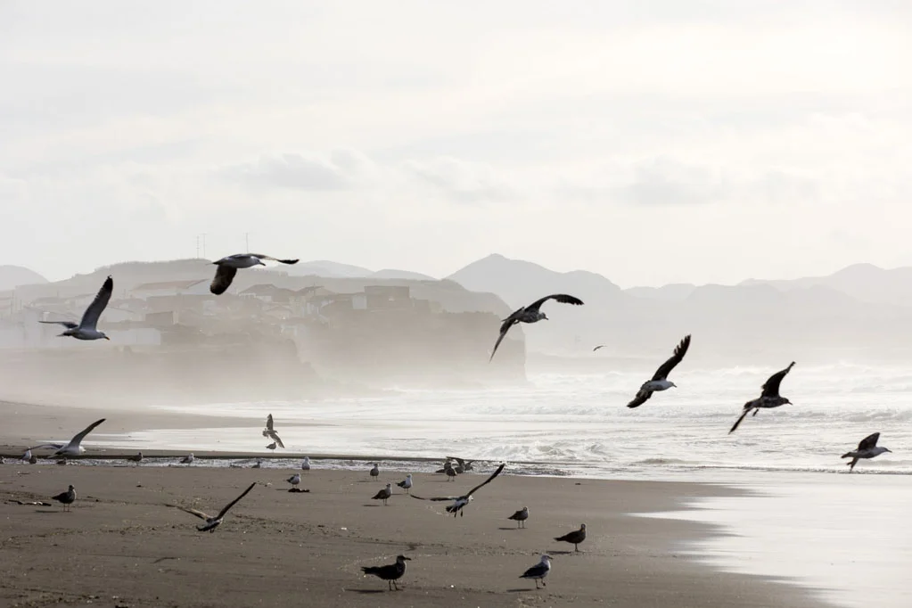 Beach in Ribeira Grande
