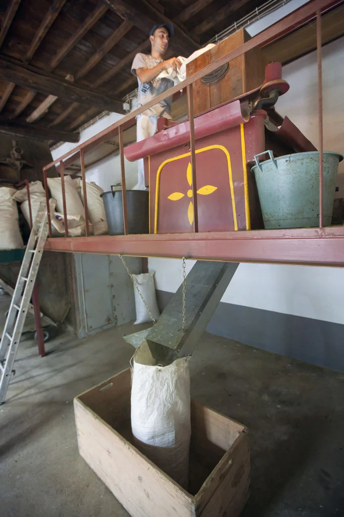 Gorreana Tea Factory