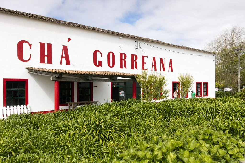 Gorreana