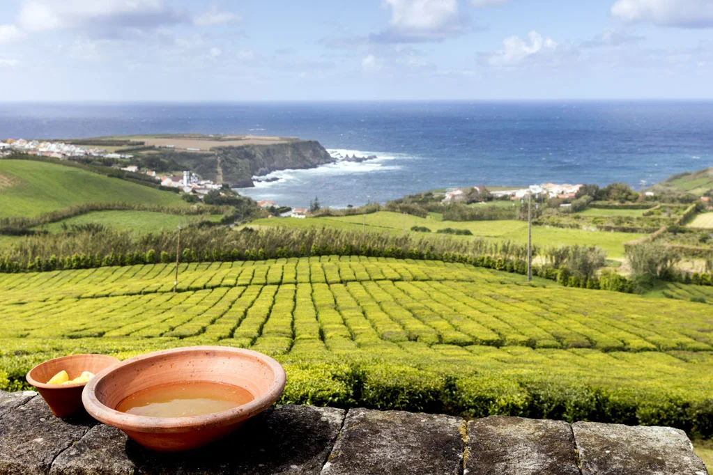 Porto Formoso Tea Plantation