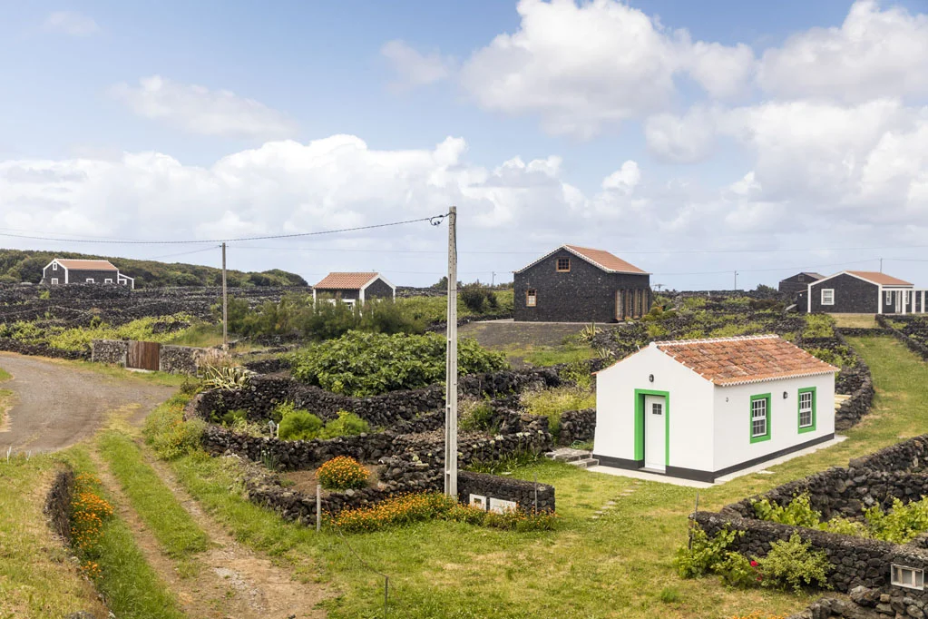 Terceira Island