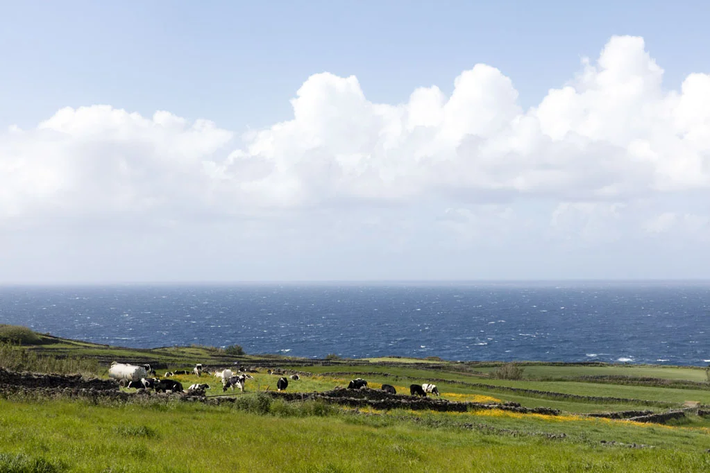 Terceira Island