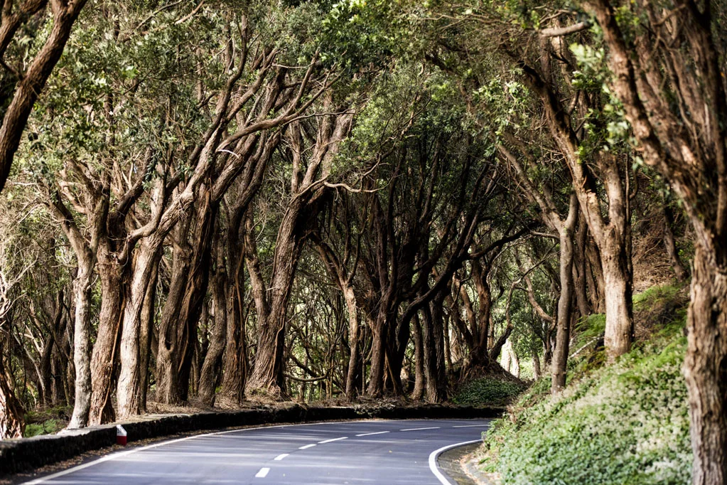 Terceira Island