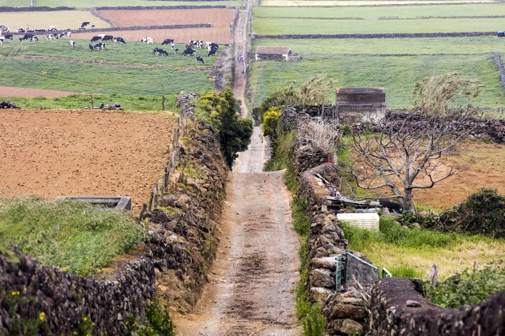 Terceira Island