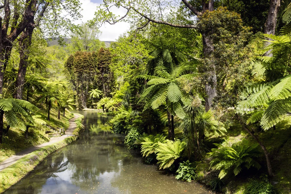 Terra Nostra Garden